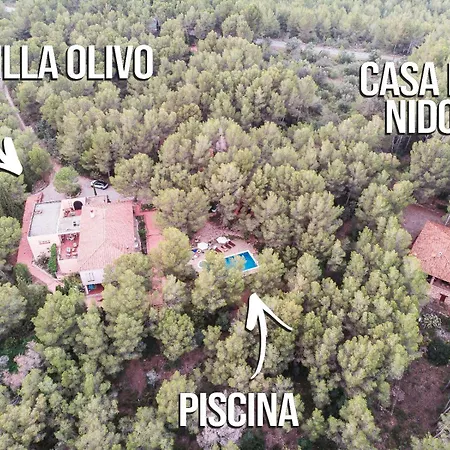Aldeamia, Forest, Mountain View, At 8 Min *