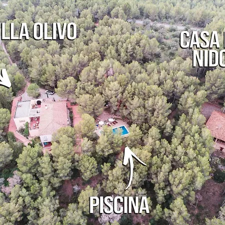 Bed & Breakfast Aldeamia, Forest, Mountain View, At 8 Min