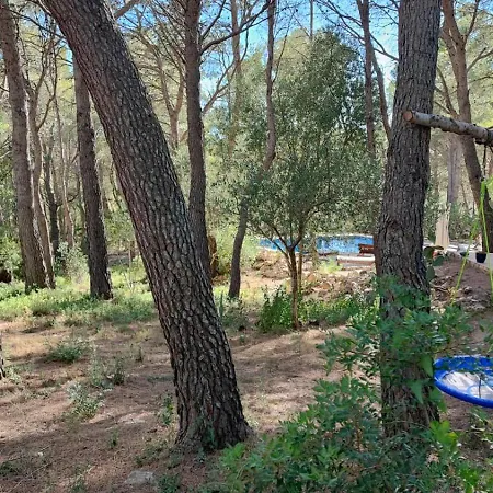 Aldeamia, Forest, Mountain View, At 8 Min Bed & Breakfast Vilanova de Escornalbou